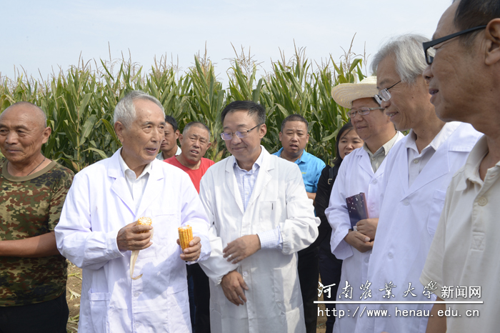 ������Ժʿ��ר�����Ա�о���ԥ��9953����������